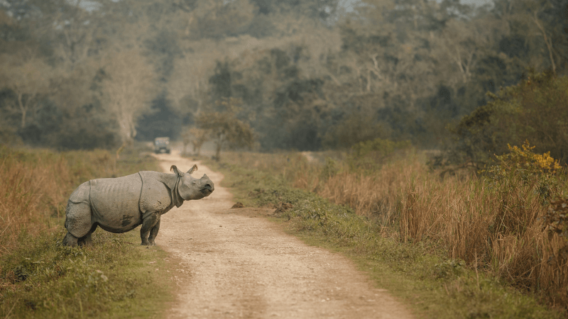 Periyar National Park